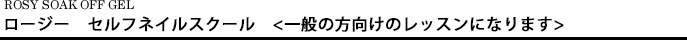 ジェル・セルフネイルコース